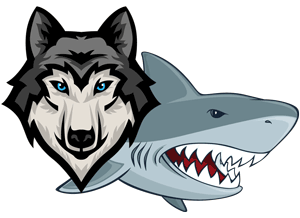 Wolf vs Shark
